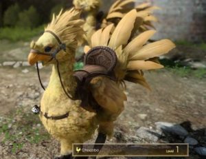 Chocobo