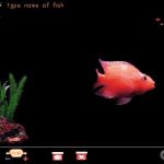 MOPy Fish
