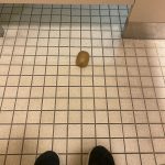 Kirsty's Kiwi