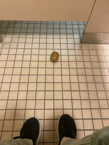 Kirsty's Kiwi