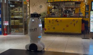 Japanese Patrol Robot