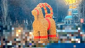Gävle Goat 2025 Pic 1