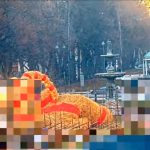 Gävle Goat 2025 Pic 2