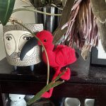 Nobody's Scarlet Ibis