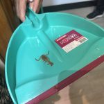The Shower Scorpion